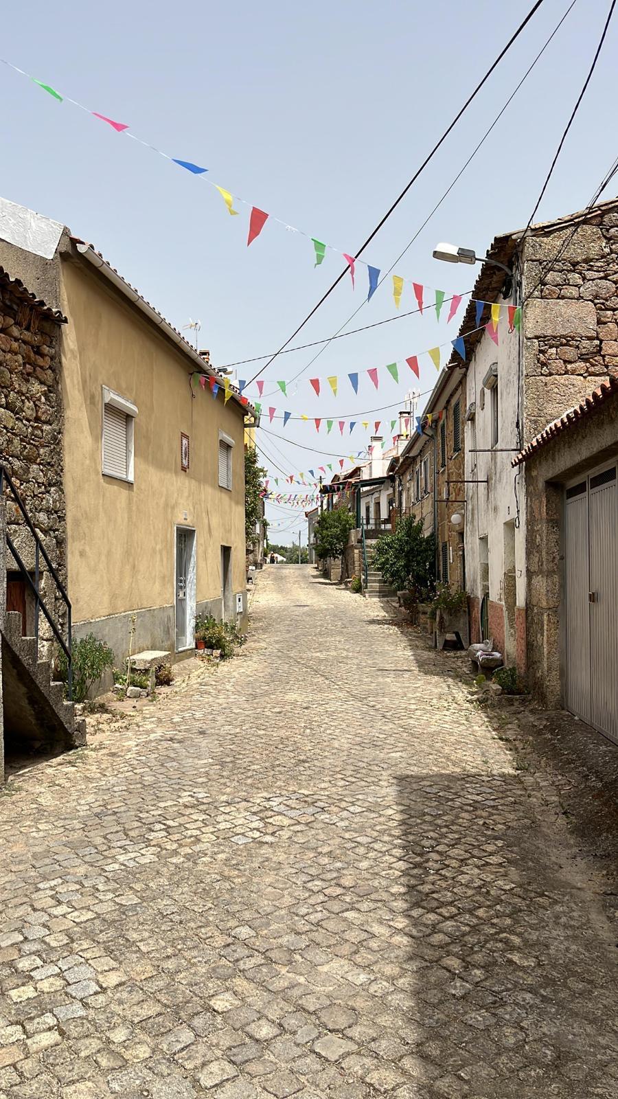 Festa de Verão 2023 22